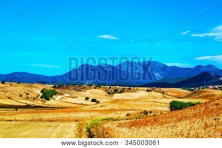 Rural Landscape Villasor Cagliari South Sardinia Reflex