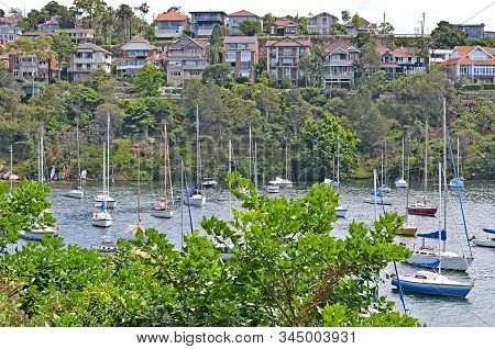 Cremorne point to Mosman Bay coastal walk, Sydney, Australia