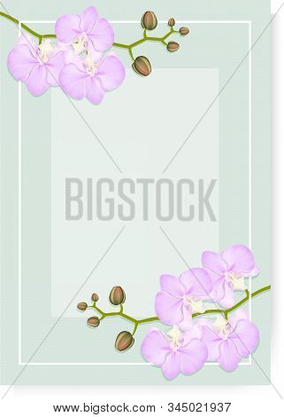 Green Vertical Template With Transparent Background, Place For Text And Realistic Branches Of Pink O