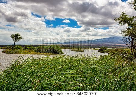 On The Kealia Coastal Boardwalk Looking Across The Kealia Pond National Wildlife Refuge Towards Up C