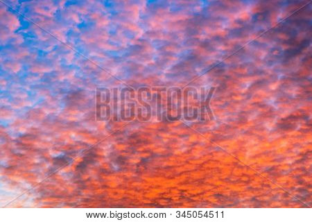 Colorful Orange Clouds Altocumulus On Evening Sky. Sunset Scenery