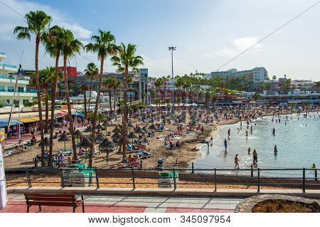 Canary Island Tenerife, Spain - 26 Dec, 2019: Palm Trees Near The Beach Called Playa La Pinta Puerto
