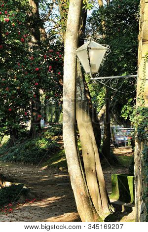 Oporto, Portugal- January 6, 2020: Beautiful And Idyllic Crystal Palace Gardens In Oporto, Porugal