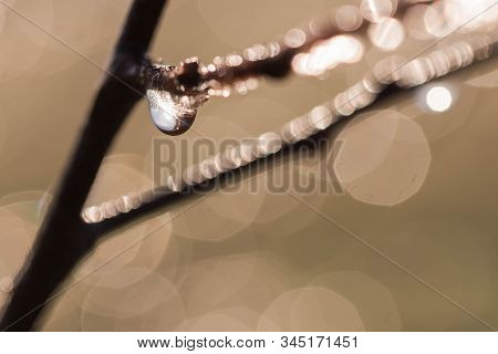 Drops Of Morning Dew In The Rays Of The Rising Sun.
Morning In The Meadow. Night Moisture Condensed 