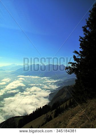 High Up, Next To The Big Fir Tree, There Is A Narrow Hiking Trail Over A Steep Slope With Forests An
