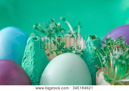 Decorative Handmade Easter Egg Present Box With Eggs And Cress. Beautiful Decoration Easternest Bask