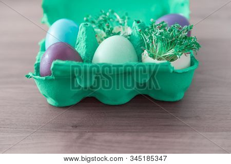 Decorative Handmade Easter Egg Present Box With Eggs And Cress. Beautiful Decoration Easternest Bask