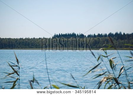 Sunset Over The Forest Lake. Low Angle View From The Boat With The Plans On The Foregound