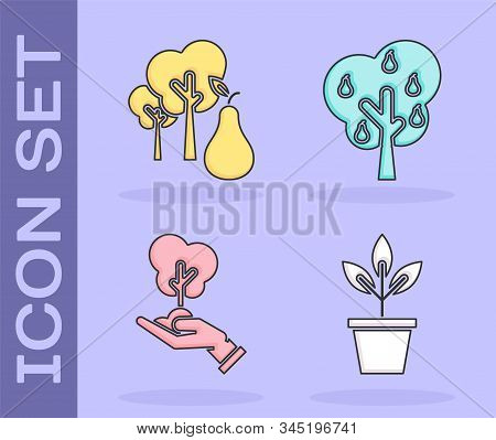 Set Flowers In Pot, Tree With Pears, Tree In Hand Of Environmental Protection And Tree With Pears Ic