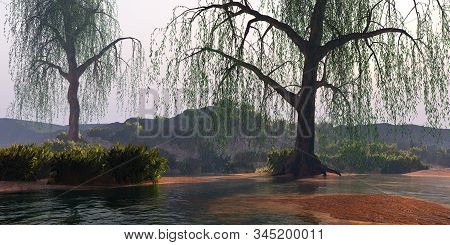River Landscape 3d Illustration - Weeping Willow Trees Perch On Nearby Banks Of This Flowing River N