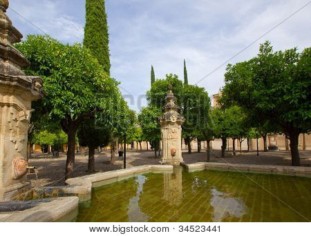 Patio de la mosquée cathédrale, Cordoue, Espagne