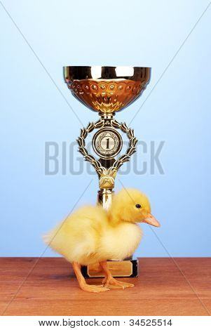 푸른 배경에 나무 테이블에 오리와 챔피언 컵