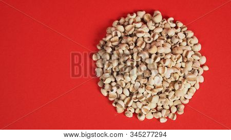Job's Tears, Also Known As Adlay And Coix On Red Background. Popular In Asian Cultures As A Food Sou