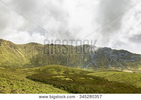 Reeds Grow In The Swampy Area Of The Basin Of The Corvo Caldera On The Island Of Corvo In The Azores