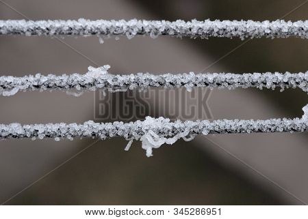 Hoarfrost On The Ropes In Winter Closeup. Shallow Depth Of Field