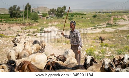 Shiraz, Iran - May 2019: Qashqai Turkish Shephard Man With His Goats