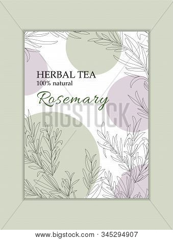 Herbal Tea Vactor Card Template. Modern Illustration For Design And Web.