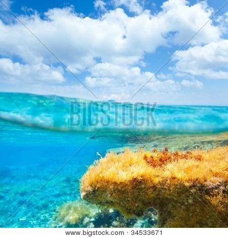 Ibiza Formentera onderwater onder over waterlijn blauwe hemel zeegezicht