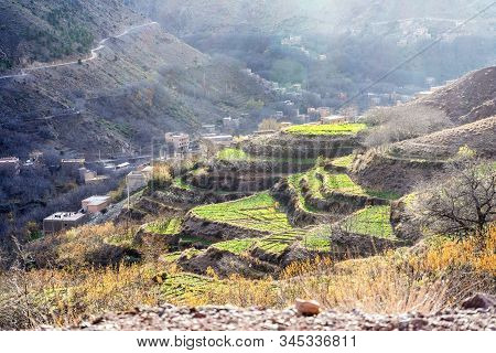 Beautiful Terraced Fields In High Atlas Mountains In Morocco