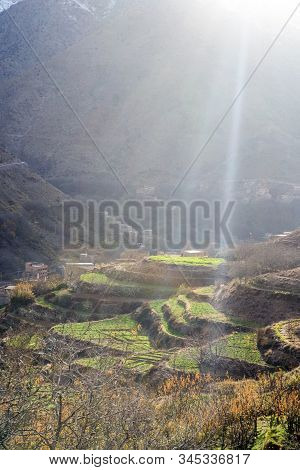 Beautiful Terraced Fields In High Atlas Mountains In Morocco