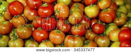 Red Tomatoes Background Pattern. Fresh Organic Tomatoes Texture From Fruit Garden Farm. Close-up You
