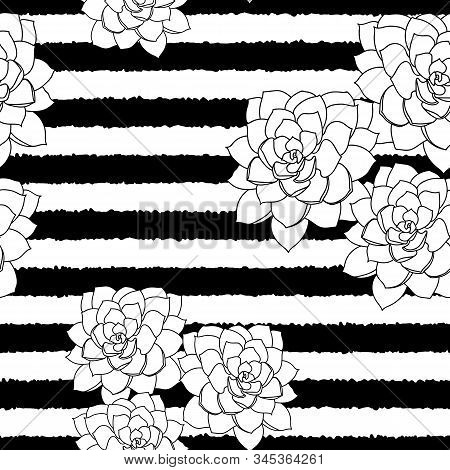 Vector Black And White Succulent Flower Striped Background Seamless Pattern Print