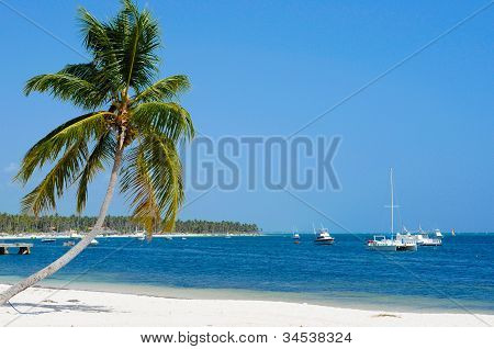 Smukke caribiske strand med palme og både