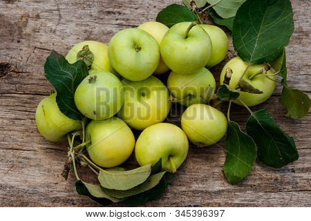 Fresh Ripe Apples On Rustic Wooden Table. Top View