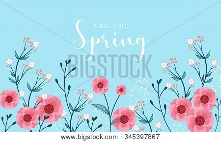Hello Spring Text Vector Banner Greetings Design With Colorful Flower Elements Like Daisy And Sunflo