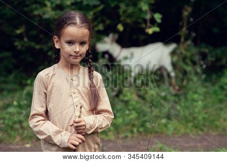 Little girl goatherd in forest. Cute girl with beautiful but dirty face grazing goats, summer outdoor