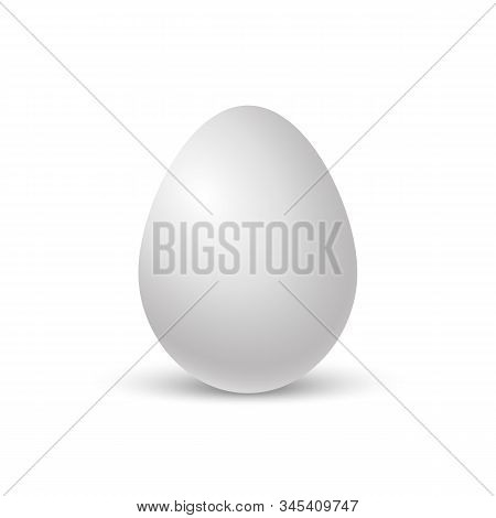 Chicken Egg. Ralistic Egg With Soft Shadow. Single Realistic Animal Egg. Template For Easter Holiday