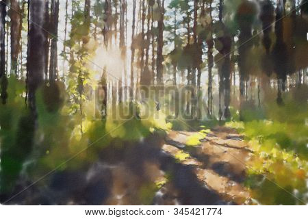 watercolor colorful illustration, sunet forest