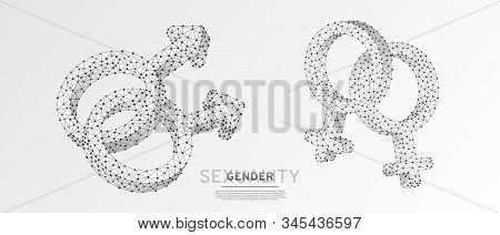 Two Male Gay, Two Female Lesbian Gender Symbolset . Wireframe, Digital Vector 3d Illustration. Low P