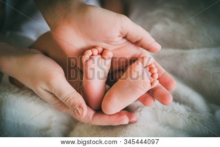 Newborn Baby Feet On Female Hands, Shape Like A Lovely Heart