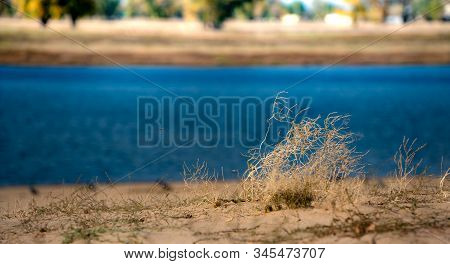 Autumn Beach On The Banks Of The River Akhtuba
