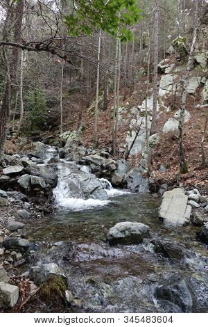 Caledonia falls trail, Troodos mountain, Cyprus                            