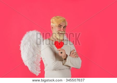 Handsome Angel Cupid. Love Concept. Valentine Angel. Bearded Man With Angel Wings. Valentines Day Ca