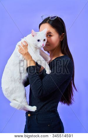 A Cat With A Different Eye Color, A Girl With Glasses Holds A White Cat, Bright Colours