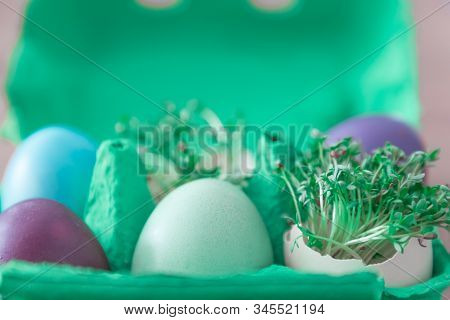 Decorative Handmade Easter Egg Present Box With Eggs And Cress. Beautiful Decoration Easternest Bask