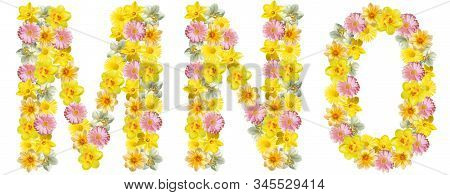 Letters Of Flowers. M, N, O. Yellow, White And Pink Flowers: Daffodils, Gerberas, Daisies. Bright Cr