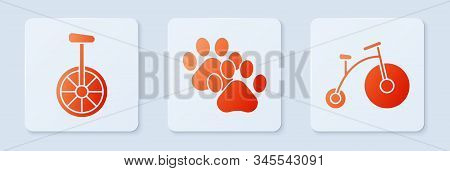 Set Paw Print, Unicycle Or One Wheel Bicycle And Vintage Bicycle With One Big Wheel And One Small. W