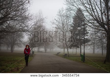 Scenic View Of A Path Through The Beautiful Public Park Of Izvor In A Foggy Winter Morning. Izvor Pa