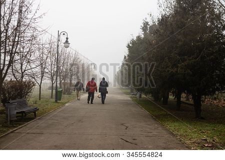 Scenic View Of A Path Through The Beautiful Public Park Of Izvor In A Foggy Winter Morning. Izvor Pa
