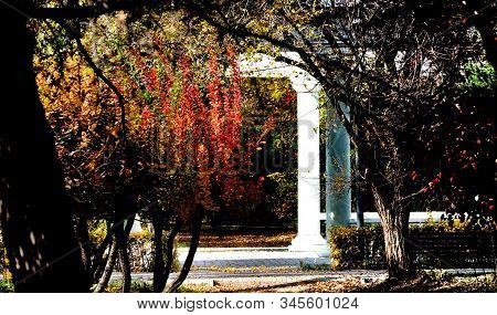 Crimson Yellow Autumn In The Old Park