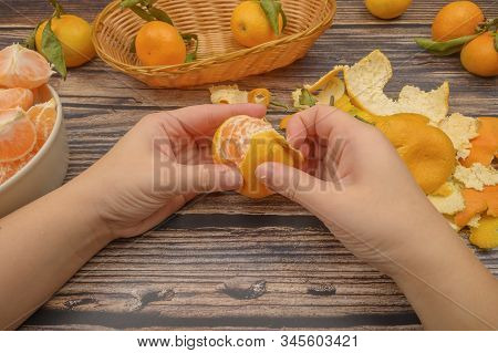 The Girls Hands Are Cleaning Tangerine, Tangerines On A Twig With Green Leaves, Peeled Tangerines In