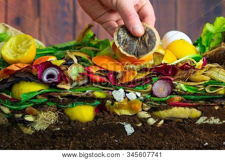 Male Hand Adding A Biodegradable Coffeepad To A Colorful Compost Heap Consisting Of Rotting Kitchen 
