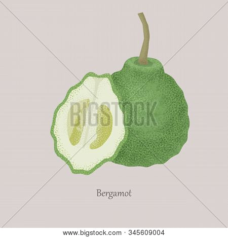Bergamot Citrus Plant Whole And Cut Into Half.