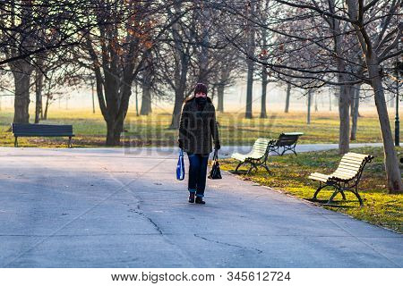 Winter Morning, Woman Walking On The Alley Of Izvor Park From Bucharest, Romania, 2020