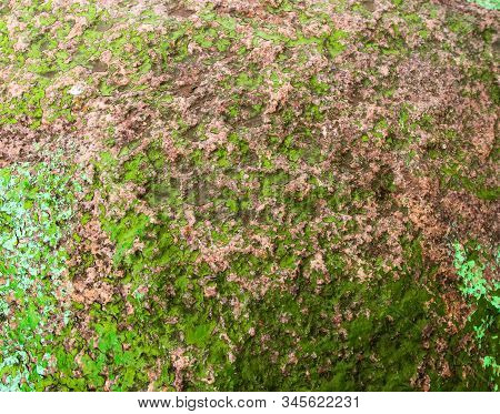 Old Painted Granite Stone Rock Background. Yellow, Green, Brown