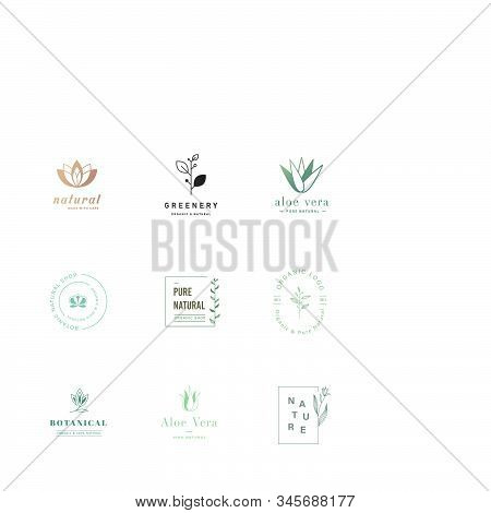 Set Of Beauty Fashion Nature Logo Design Vector Template